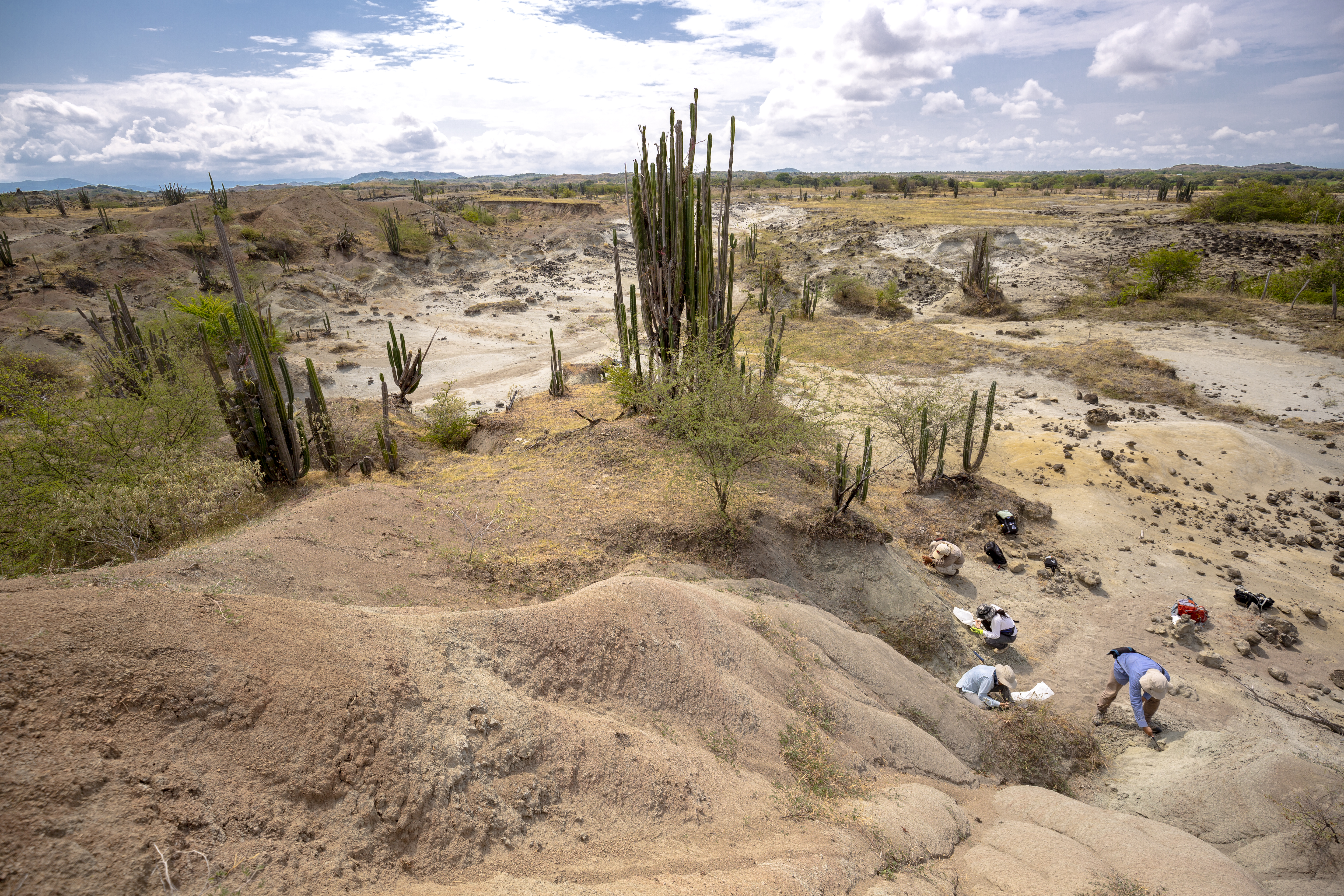 Colombia hará tres nominaciones a la lista de Patrimonio Mundial de la Unesco