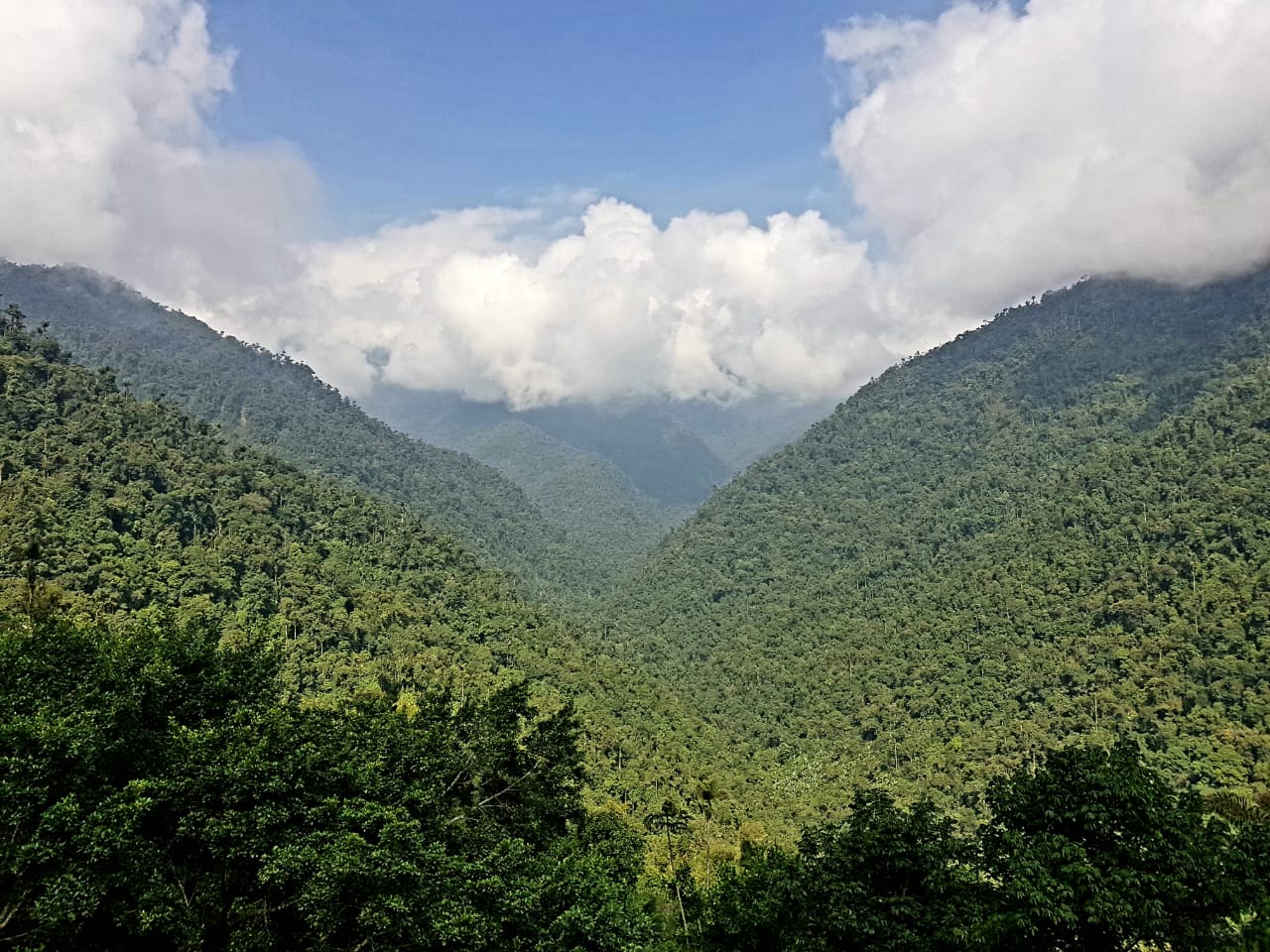 Amplían área protegida de Sierra Nevada de Santa Marta: tendrá más de 550 mil hectáreas