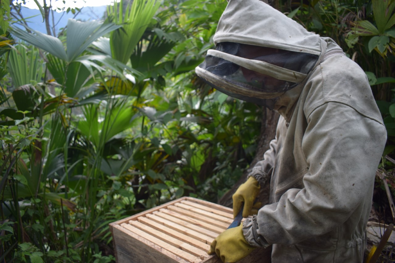 Adrián Morantes, un guardián para las abejas