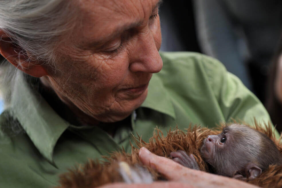 Jane Goodall y lo que aún nos hace humanos