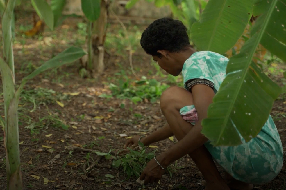 ¿La jardinería puede ser una terapia para la salud mental?