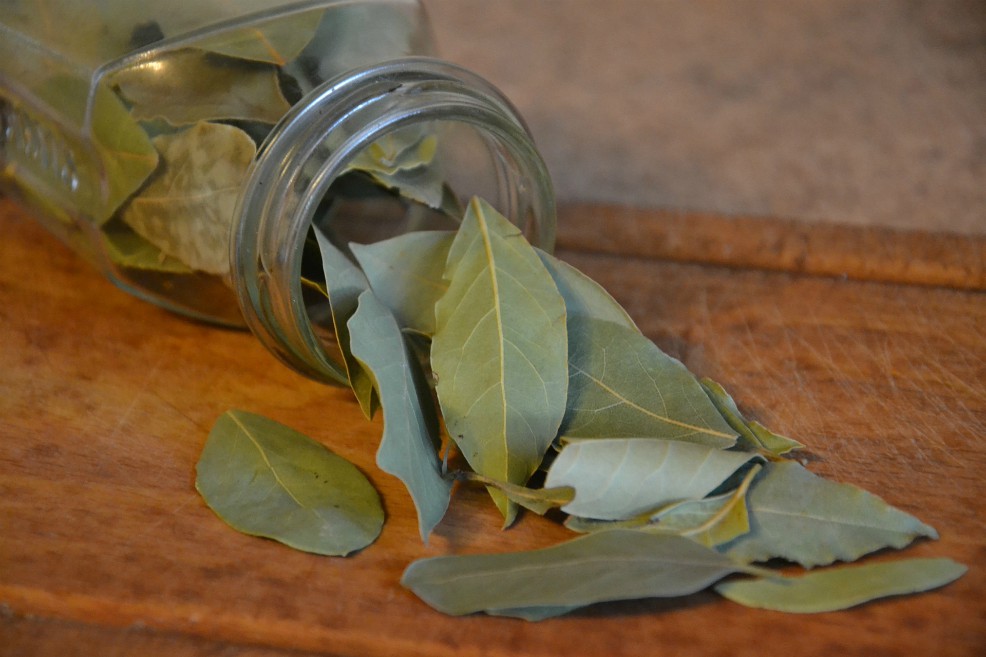 Cómo hacer un baño con laurel para abrir los caminos de la suerte y el dinero