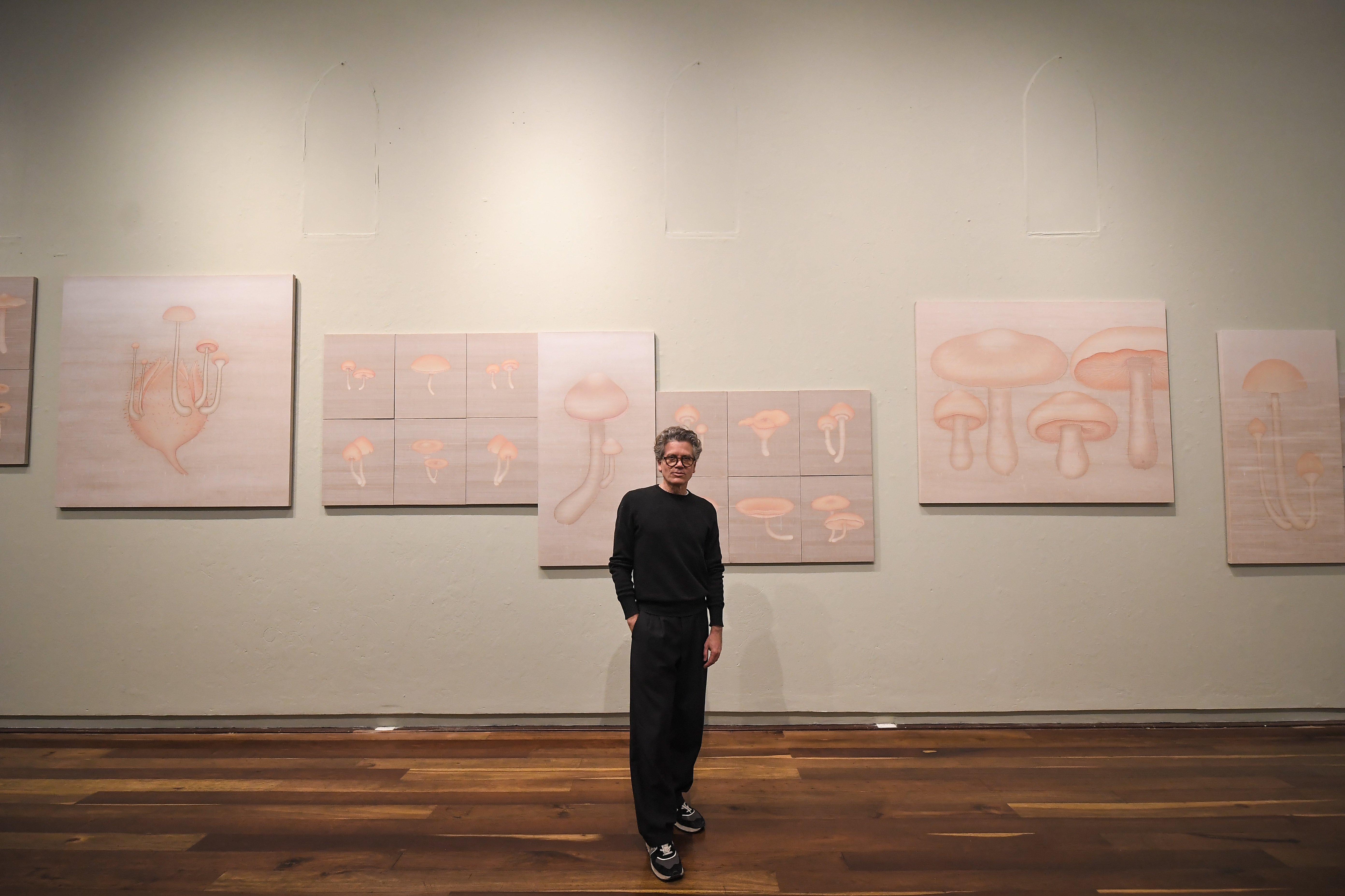 El plano pictórico de Miguel Böhmer 