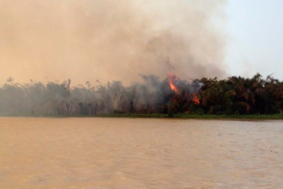 Se cree que cazadores de tortugas están detrás del incendio . /Codechocó