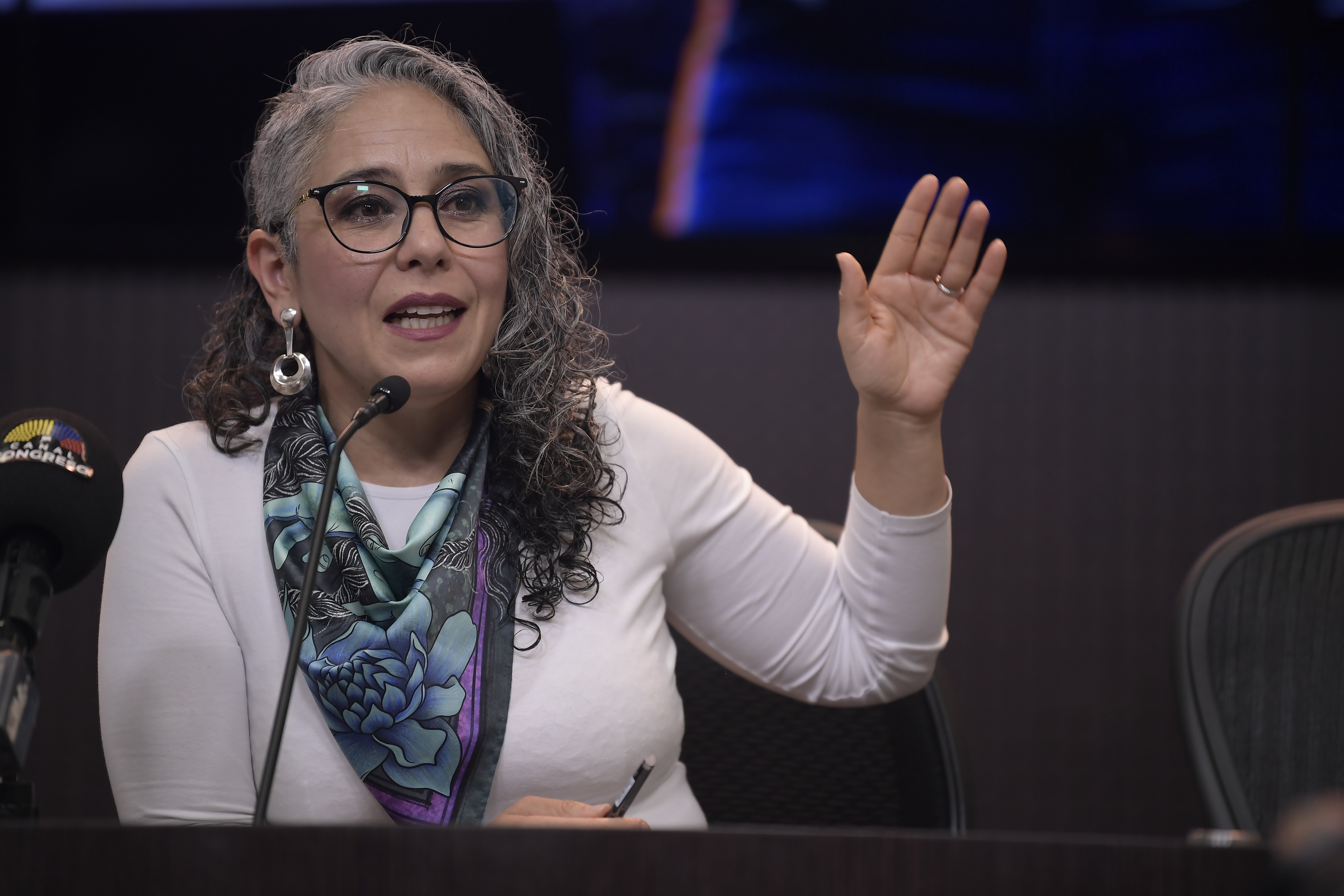 María José Pizarro reconoció que no hay tiempo para sacar la reforma a la educación