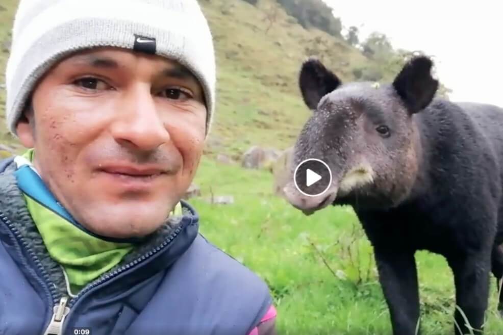 Apareció el hombre del video con la danta