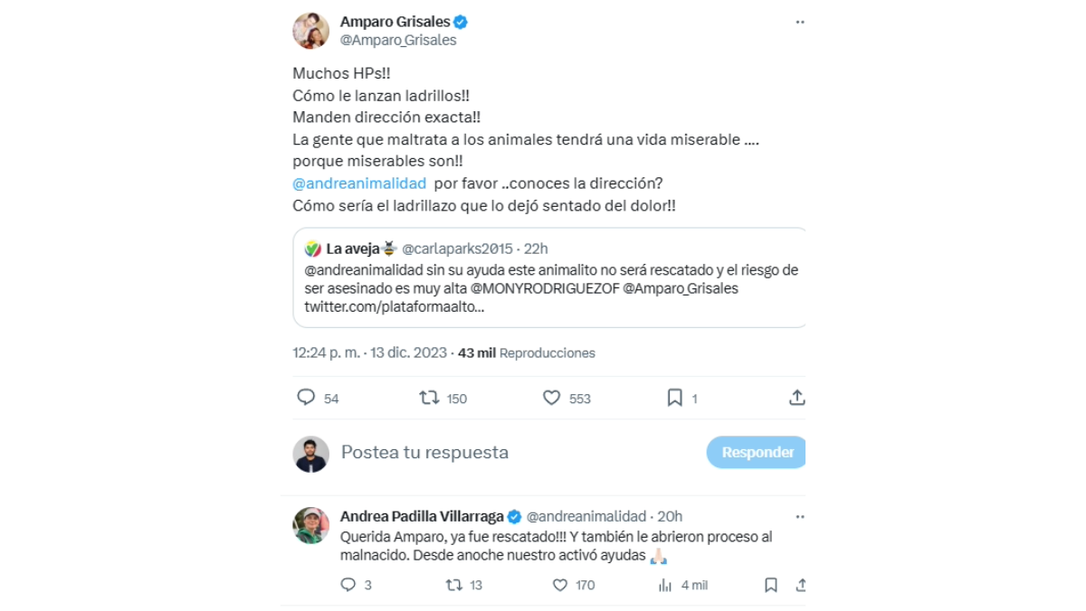 Amparo Grisales envió fuerte mensaje por indignante caso de maltrato animal