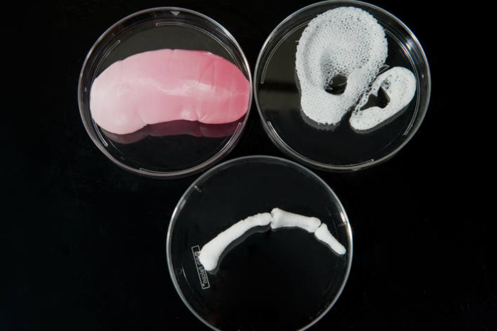Crean materiales en impresoras 3D que se comportan como tejidos humanos