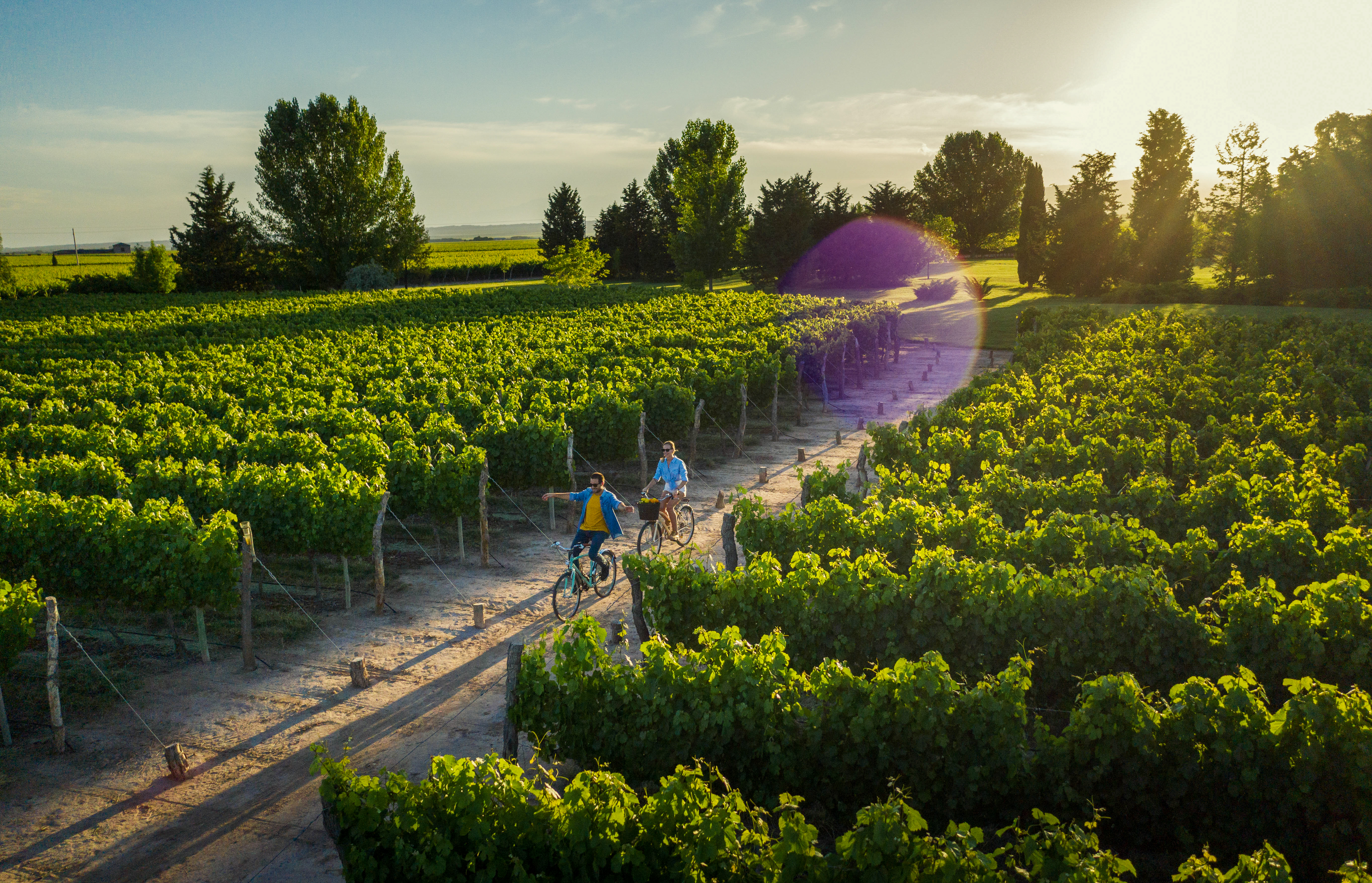 Mendoza, Argentina, un destino de vinos, lujo y placer al alcance de todos.