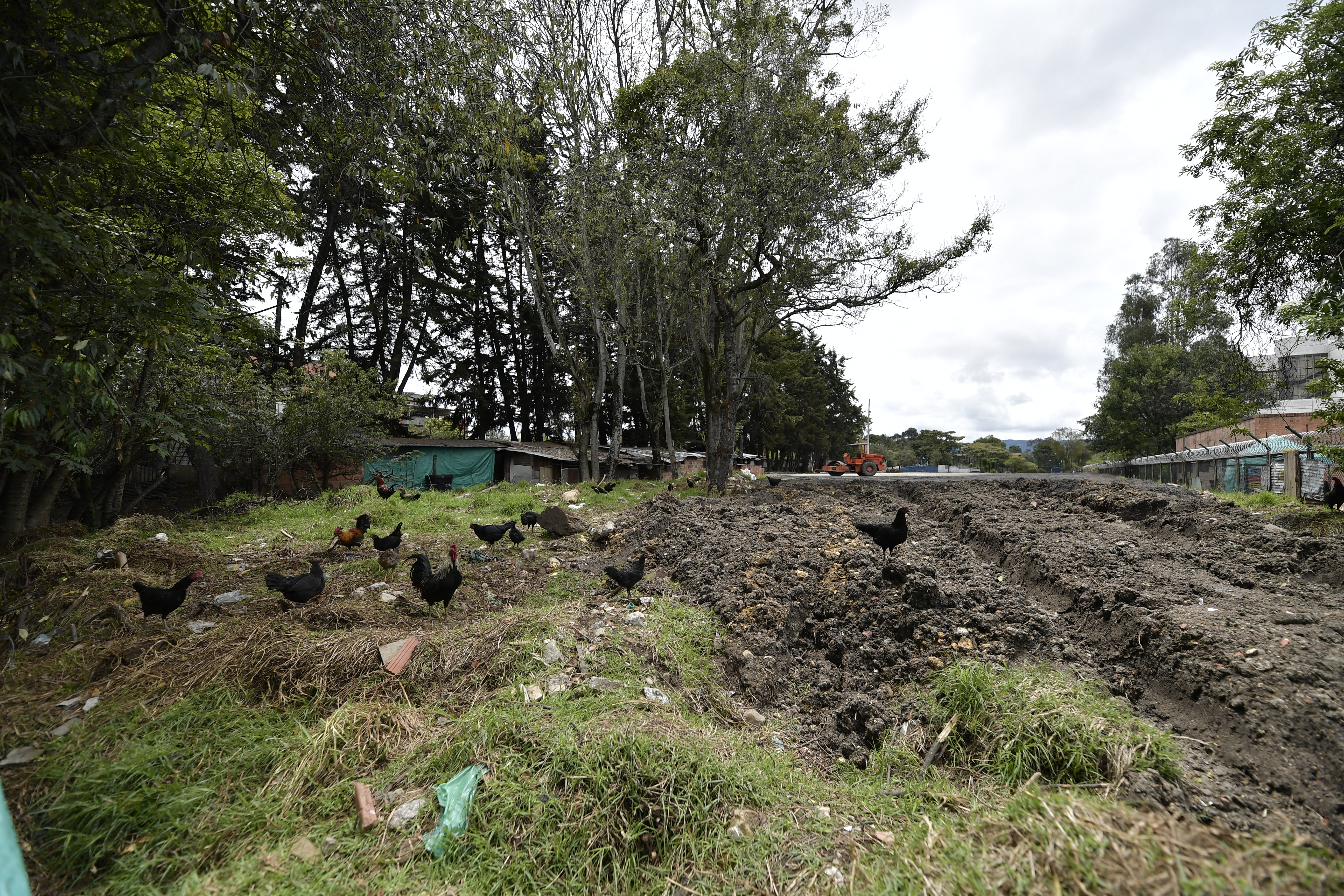 Esta fue la movida para recuperar megalote de $23.000 millones en corazón del CAN