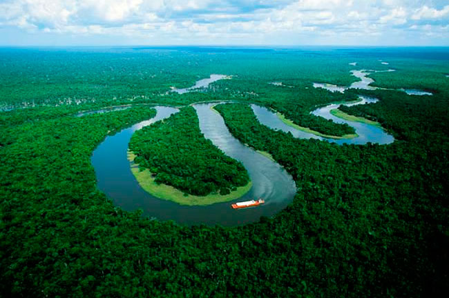 Desaparición de bosques inundados amenaza la pesca en Amazonas