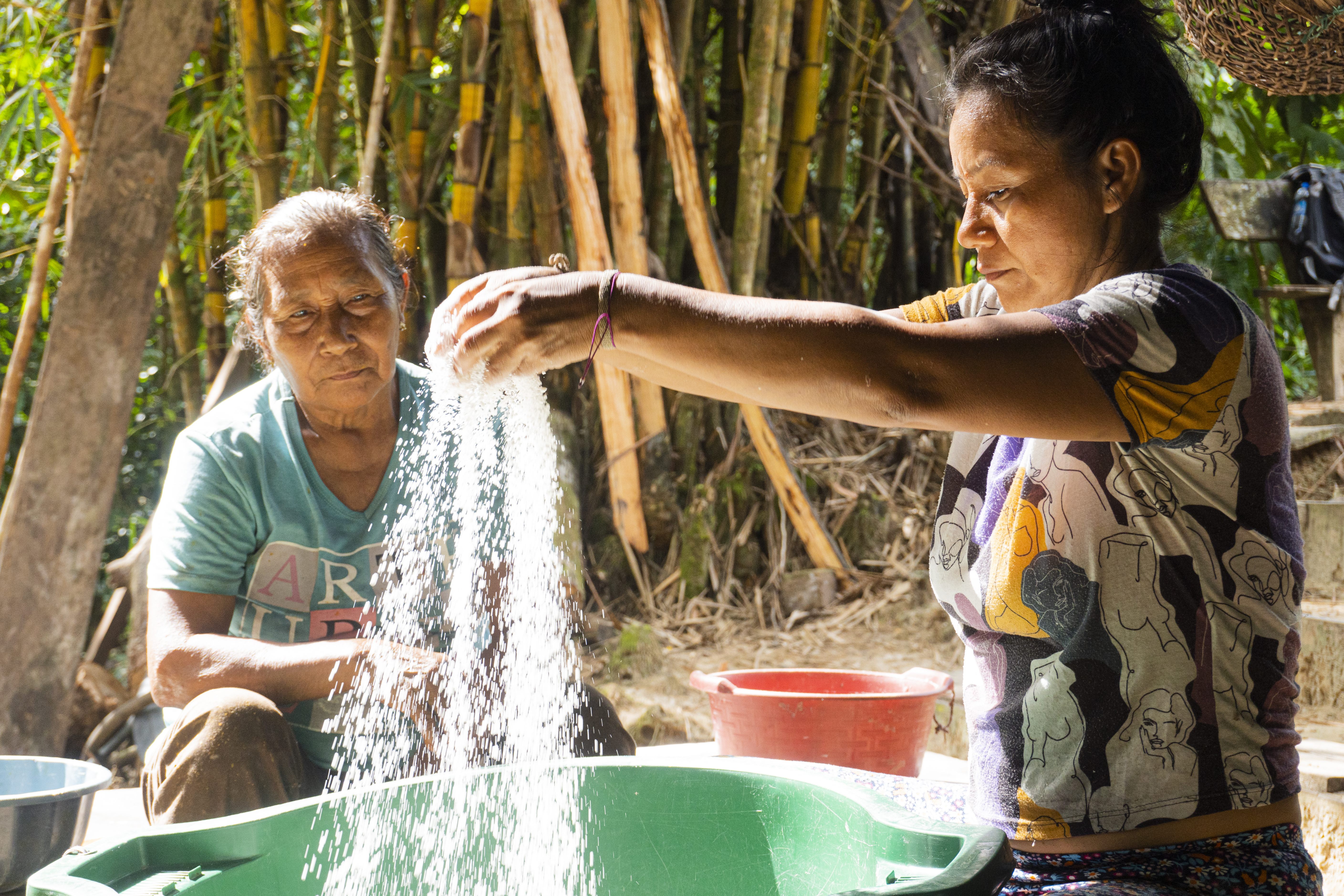 La lideresa indígena Anitalia Pijachi y su madre doña Eufracia Kuyuedo, cerniendo almidón de yuca, uno de los derivados de la yuca más importantes.