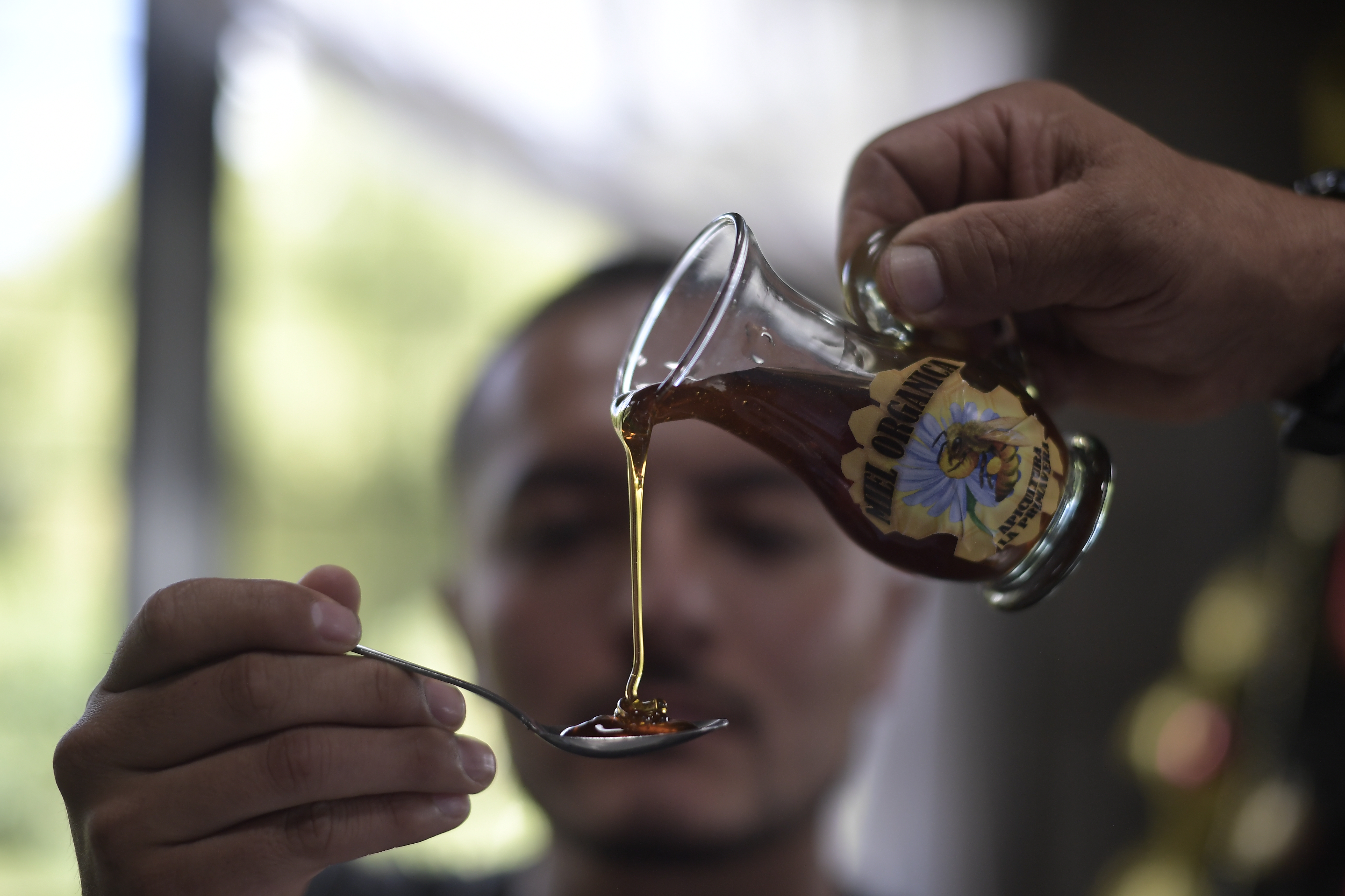 Miel: Los mejores beneficios de este dulce respaldados por la ciencia