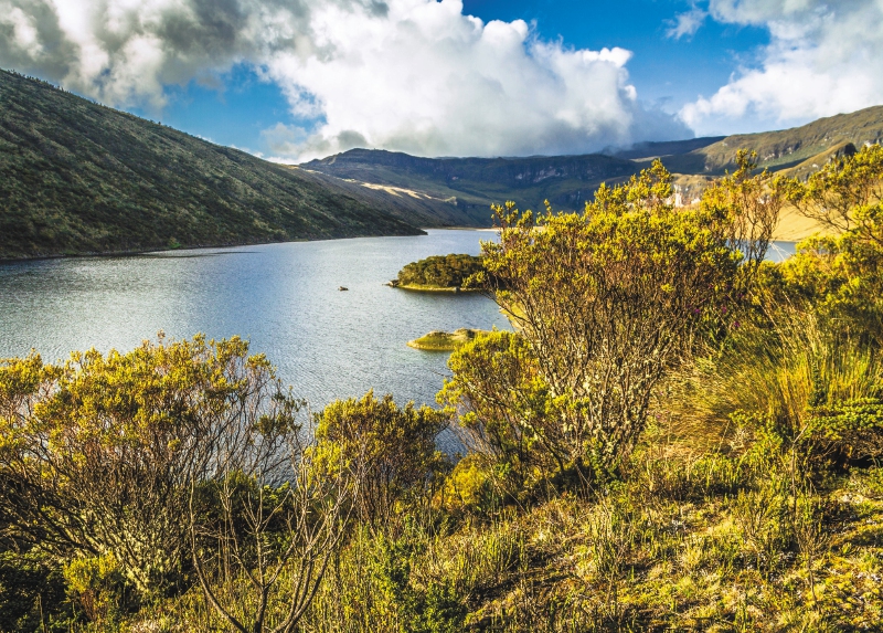 Salvando al Parque Los Nevados hectárea por hectárea