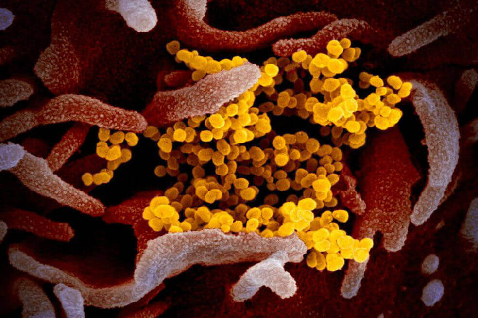La OMS pide prepararse para una «pandemia” por coronavirus
