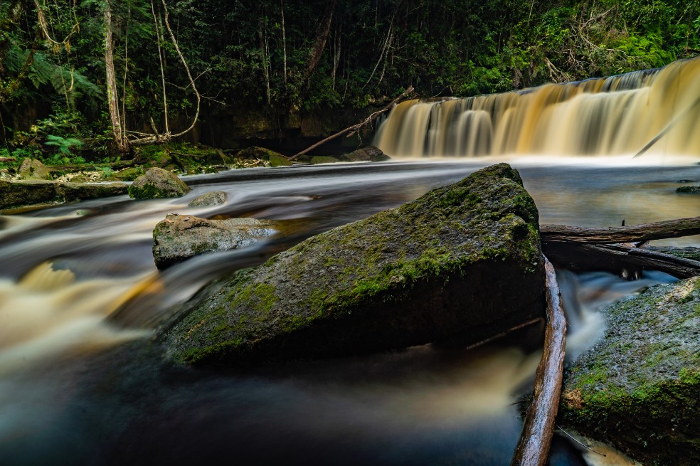 Las actividades humanas en la Amazonia no solo significan la pérdida de una riqueza natural incomparable, sino también la liberación de toneladas de CO2 a la atmósfera y la reducción de la capacidad del bosque para absorber gases de efecto invernadero.