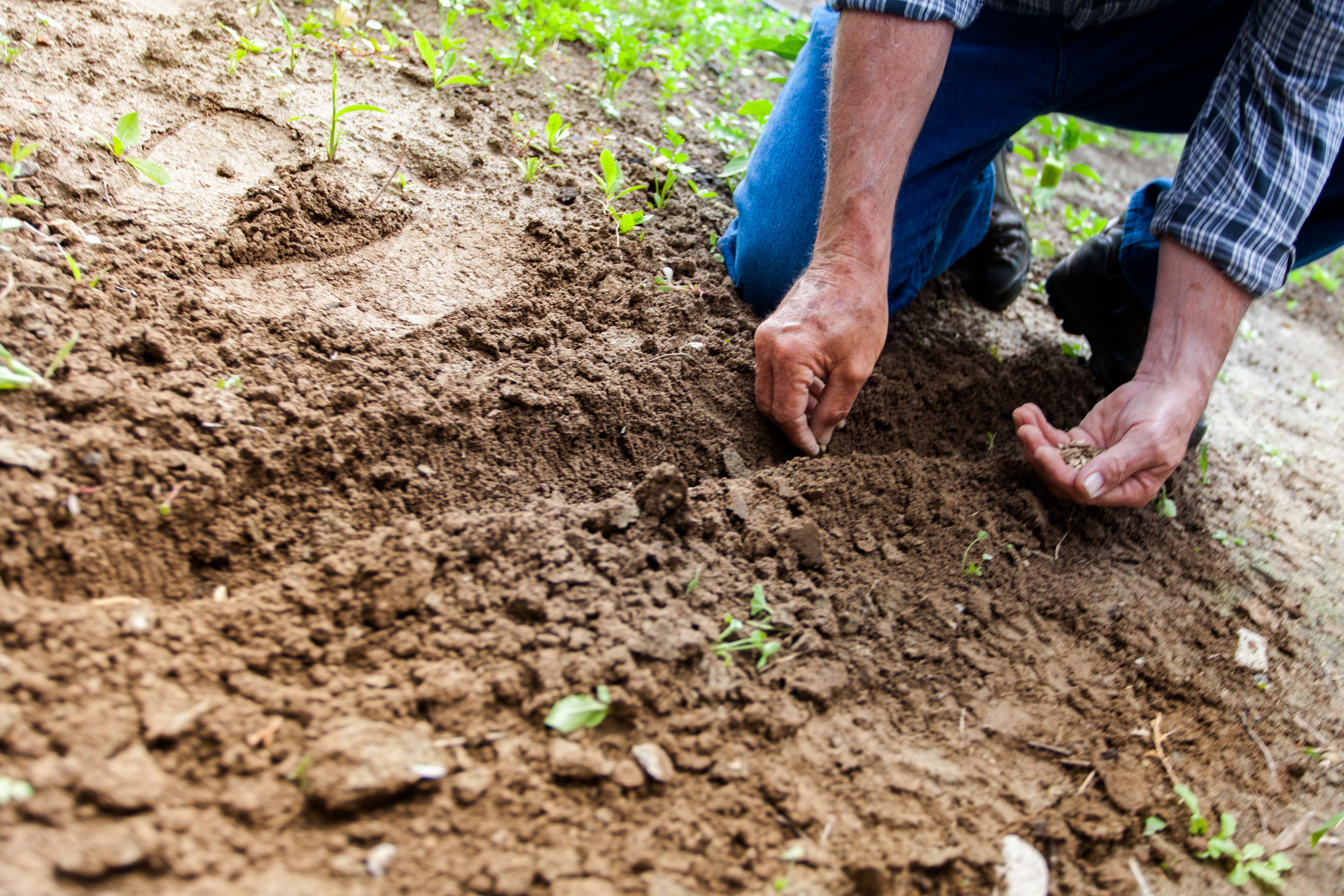 El emprendedor que aumenta la visibilidad de los productores del agro colombiano