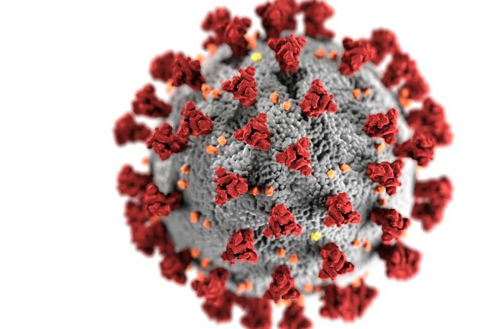 «Es improbable que el coronavirus haya surgido en un laboratorio»: científicos