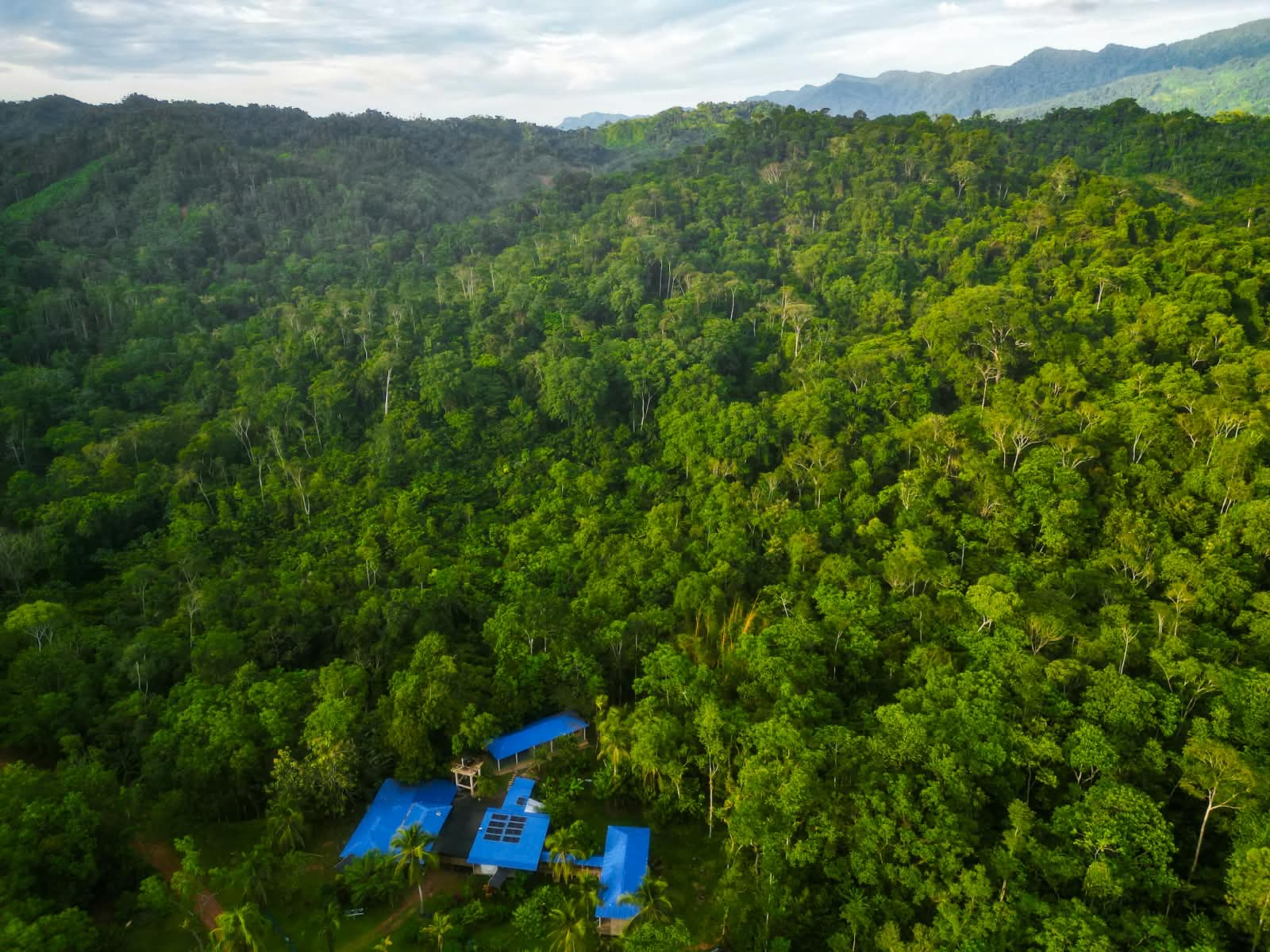 ¿Puede la conservación comunitaria salvar el bosque del Alto Sinú?
