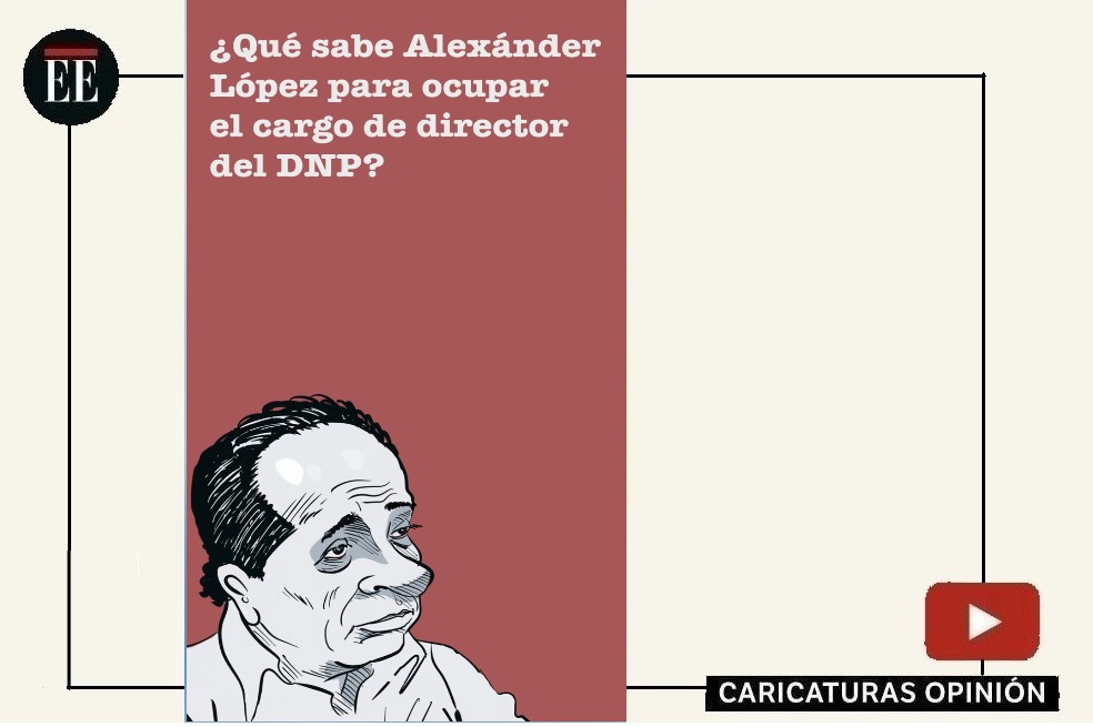 Director calificado