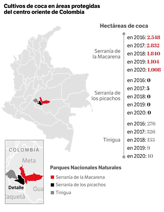 Mapa de cultivos de coca
