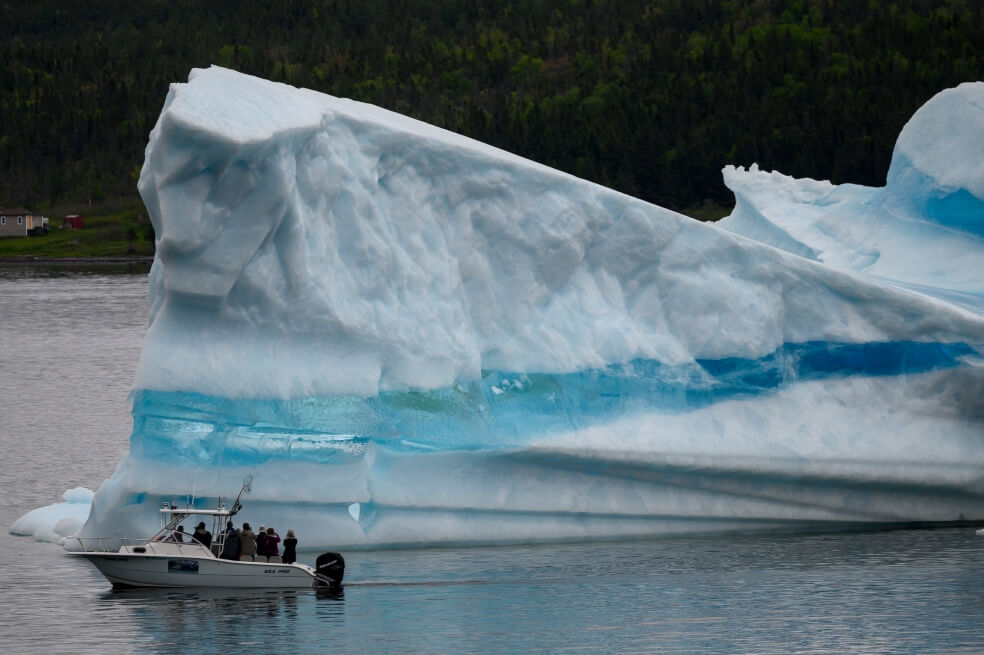 En fotos: los cazadores de icebergs viven tiempos de abundancia en Canadá, ¿por qué?