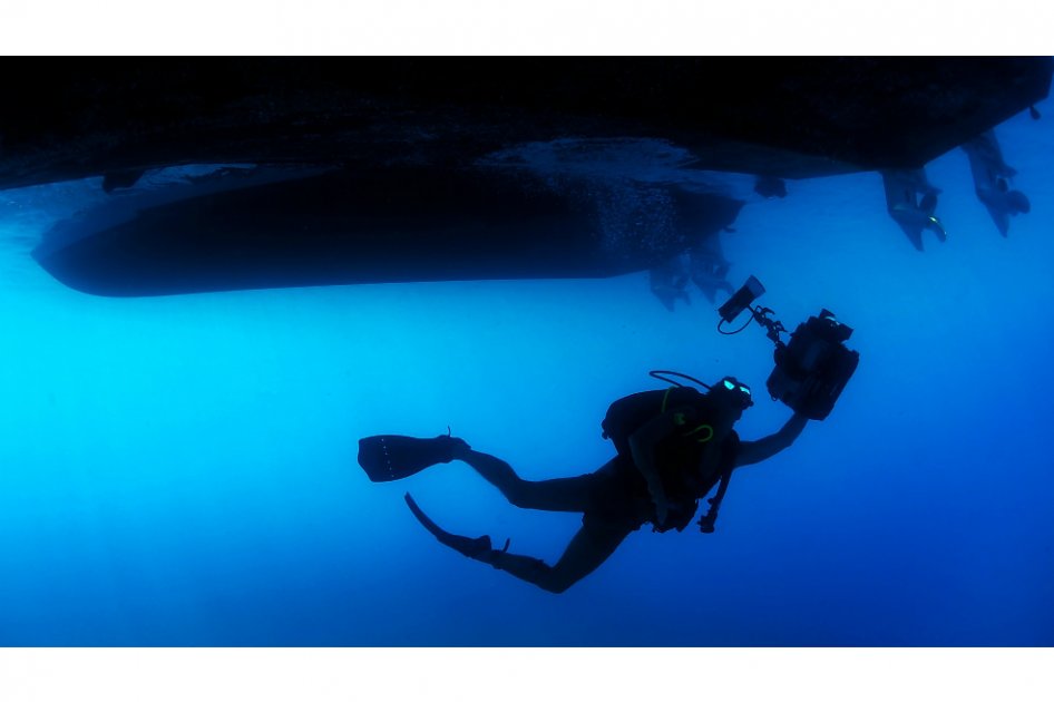 Especializaciones para descifrar el mar
