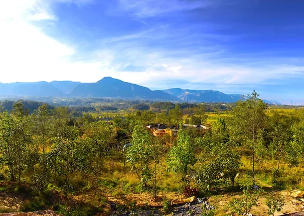 Red de Jardines Botánicos de Boyacá instruirá sobre cómo ser un jardín botánico