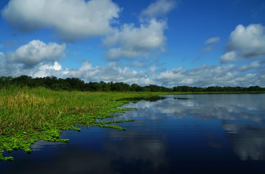 Magdalena Cauca Vive – una oportunidad para retornar al río