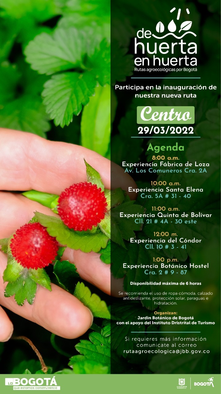 Programación huerta agroecológica