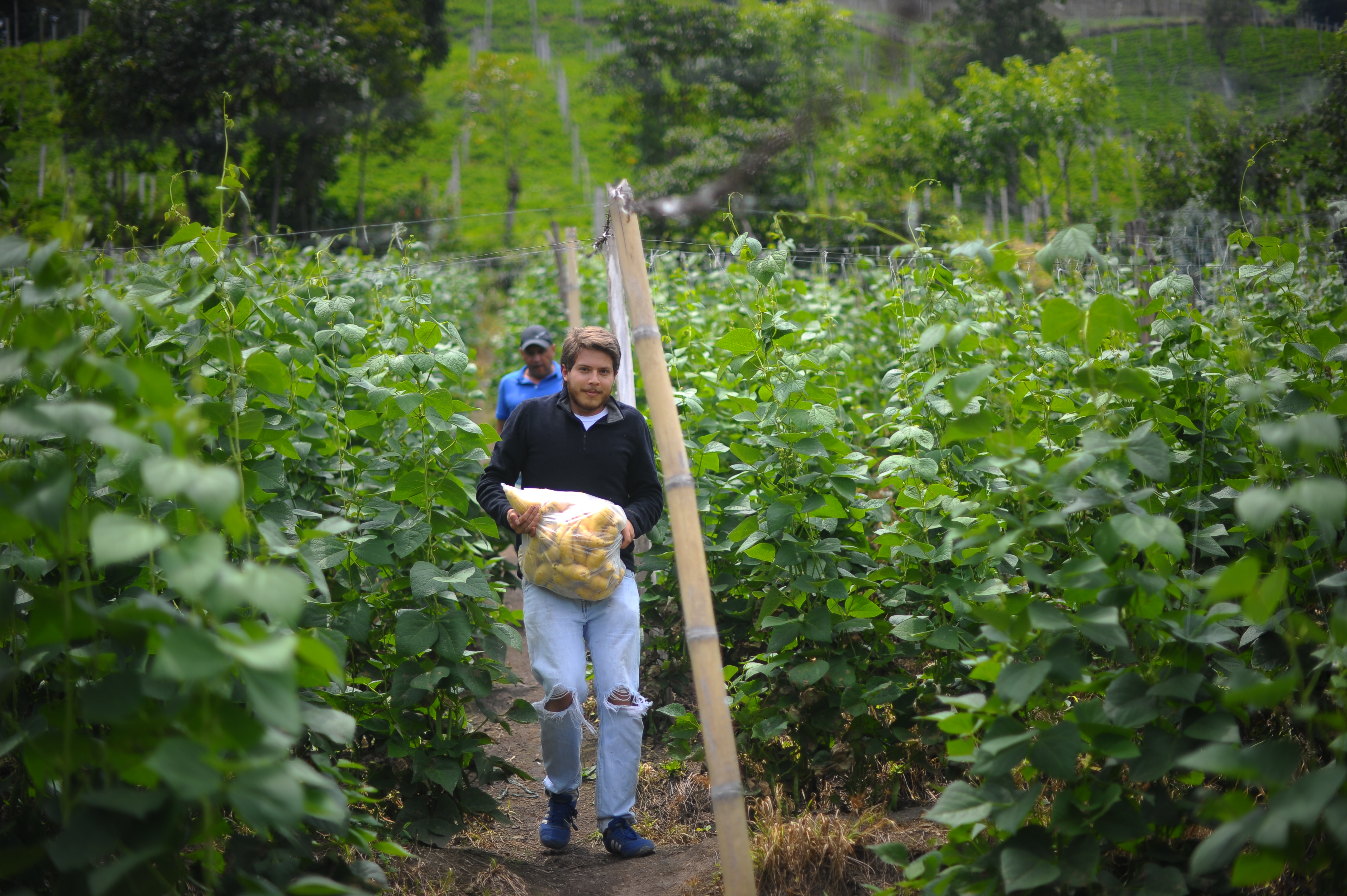 Minagricultura defiende ante la Corte la creación de las APPA para proteger suelos