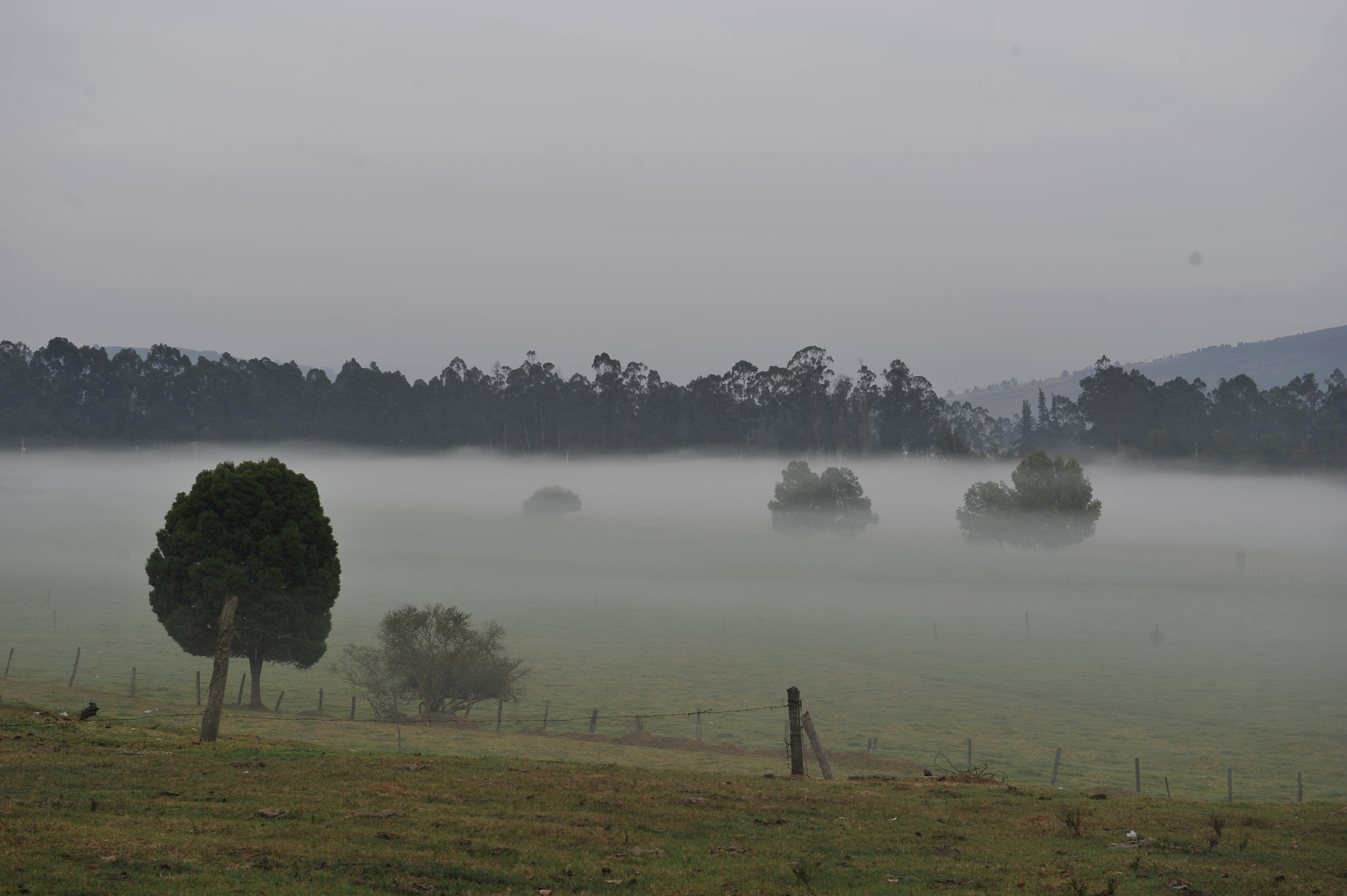 Del freno al ajuste: así cambió el nuevo proyecto ambiental para la Sabana de Bogotá