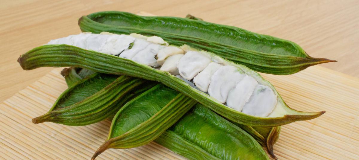 Guama: qué es, para qué sirve y por qué esta fruta de la Amazonía cada vez es más popular