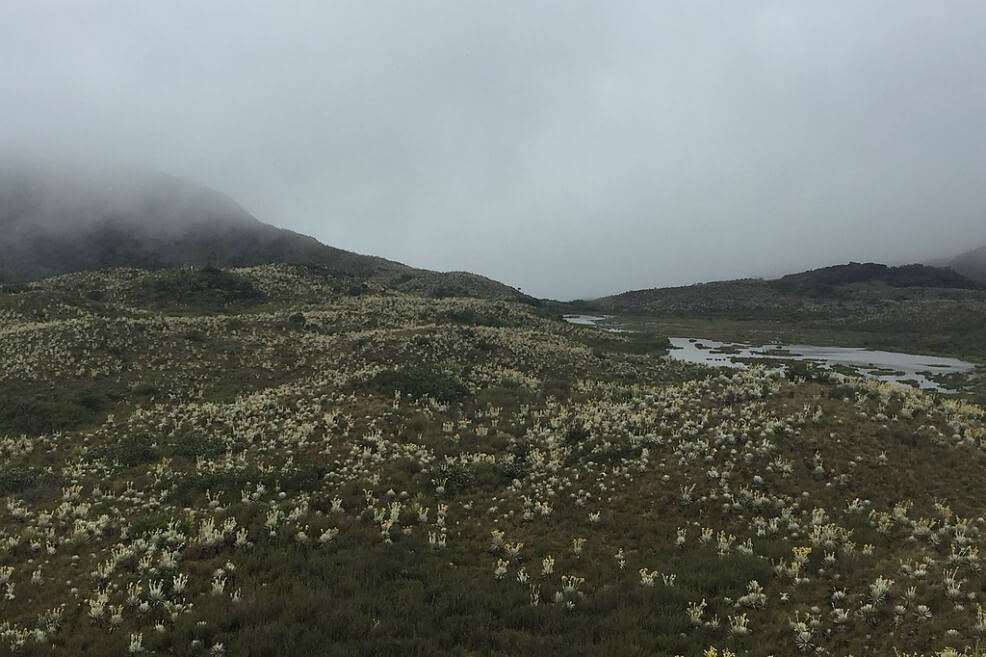 Los impactos que ha dejado el ecoturismo en algunos parques naturales de Colombia