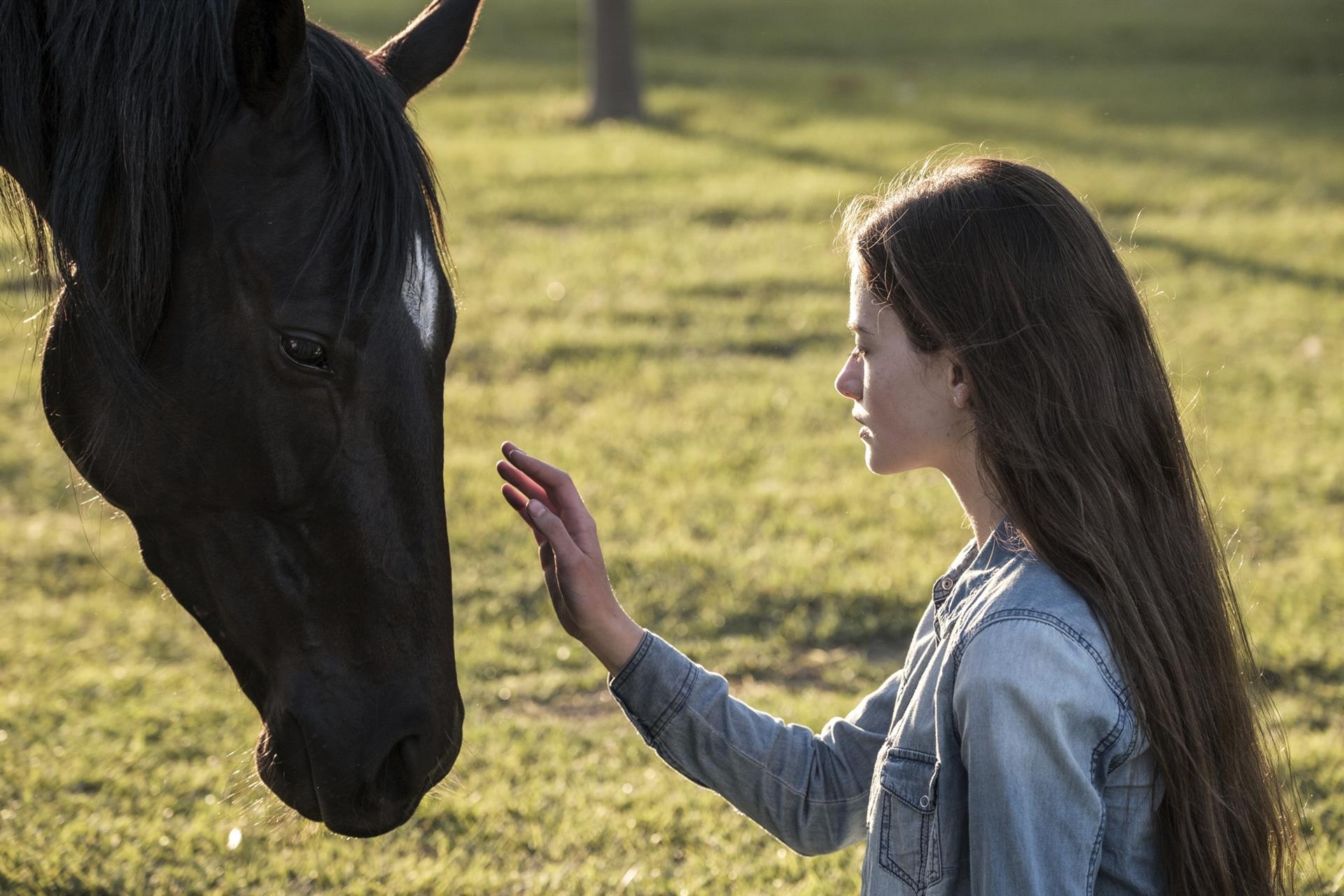 “Black Beauty” se estrenará a finales de 2020 en Disney+