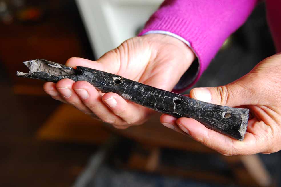 Restos de Nemocón tienen 7.800 años