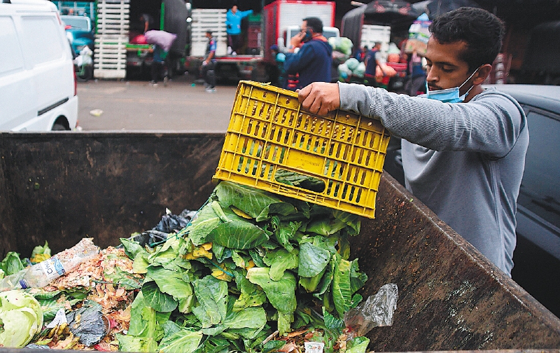 América Latina debe “garantizar la seguridad alimentaria para la región”: FAO