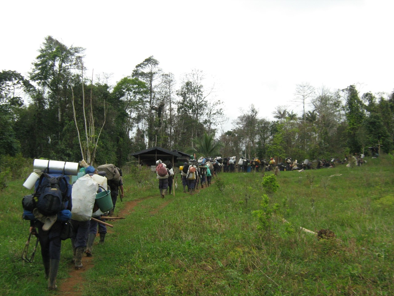 Erradicadores de coca en los montes del país.