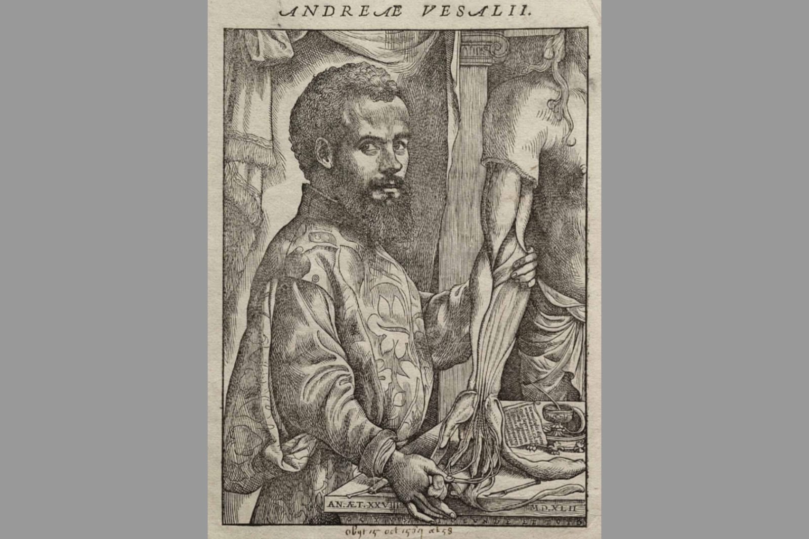 Andrés Vesalio, Frontispicio, "De humani corporis fabrica", 1543.
