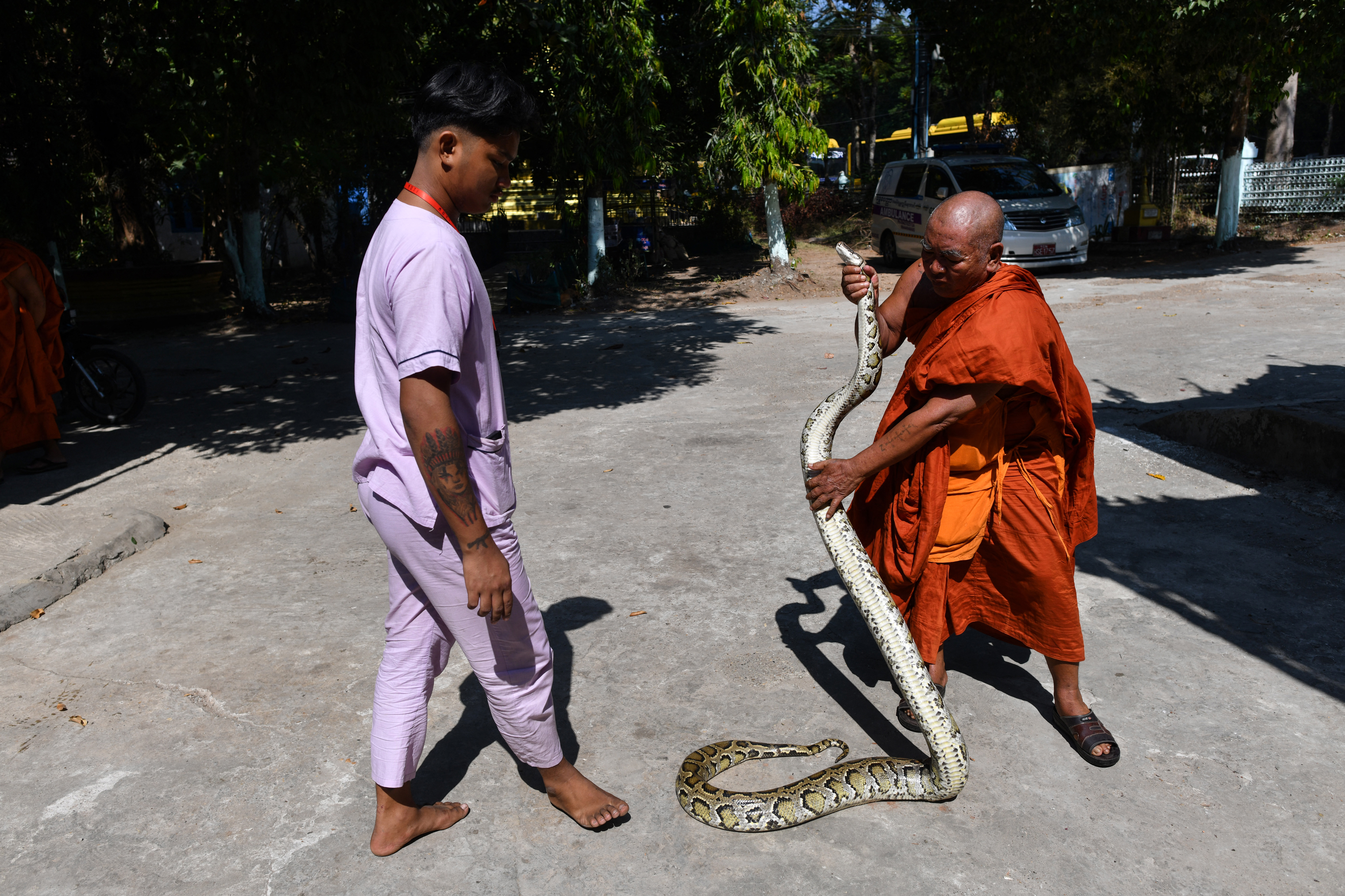 ¿Hay cobras en su casa? Llame al escuadrón antiserpiente de Birmania