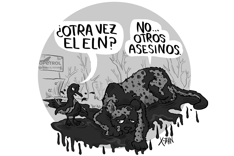 Crudo desastre