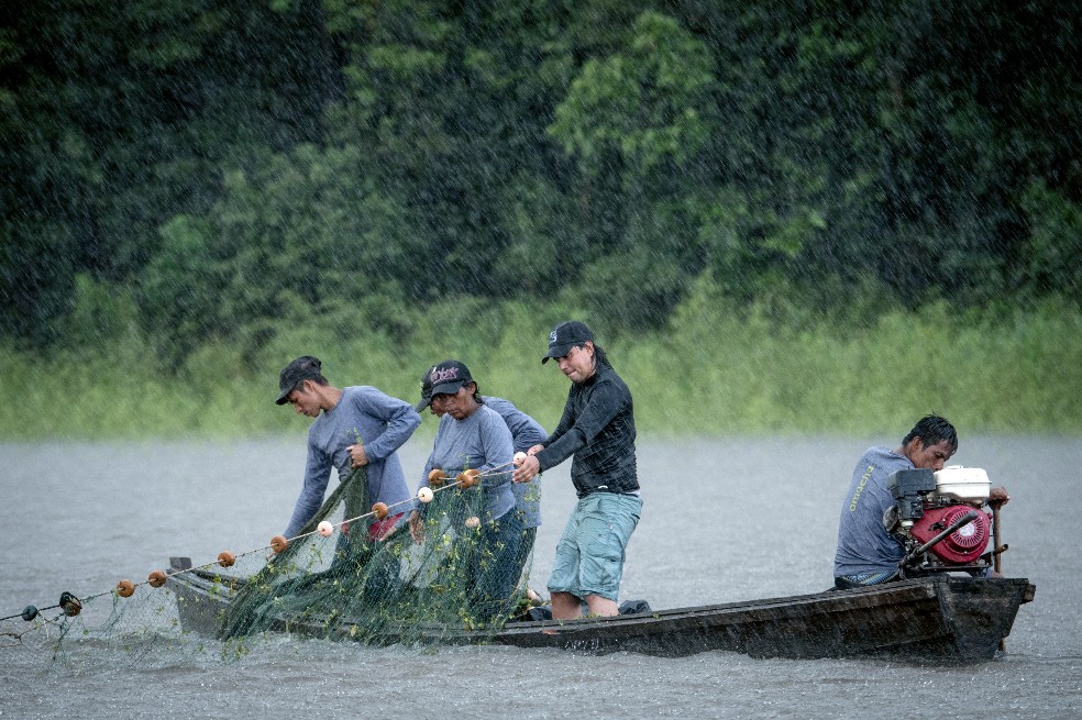 Era temporada seca, pero unas lluvias inesperadas provocaron unas crecidas que complicaron la captura; con el nivel del agua tan alto los delfines tenían mucha más margen de maniobra y lograban evitar las redes. Recogerlas es muy laborioso y puede llegar a demorar más de 30 minutos en cada intento.