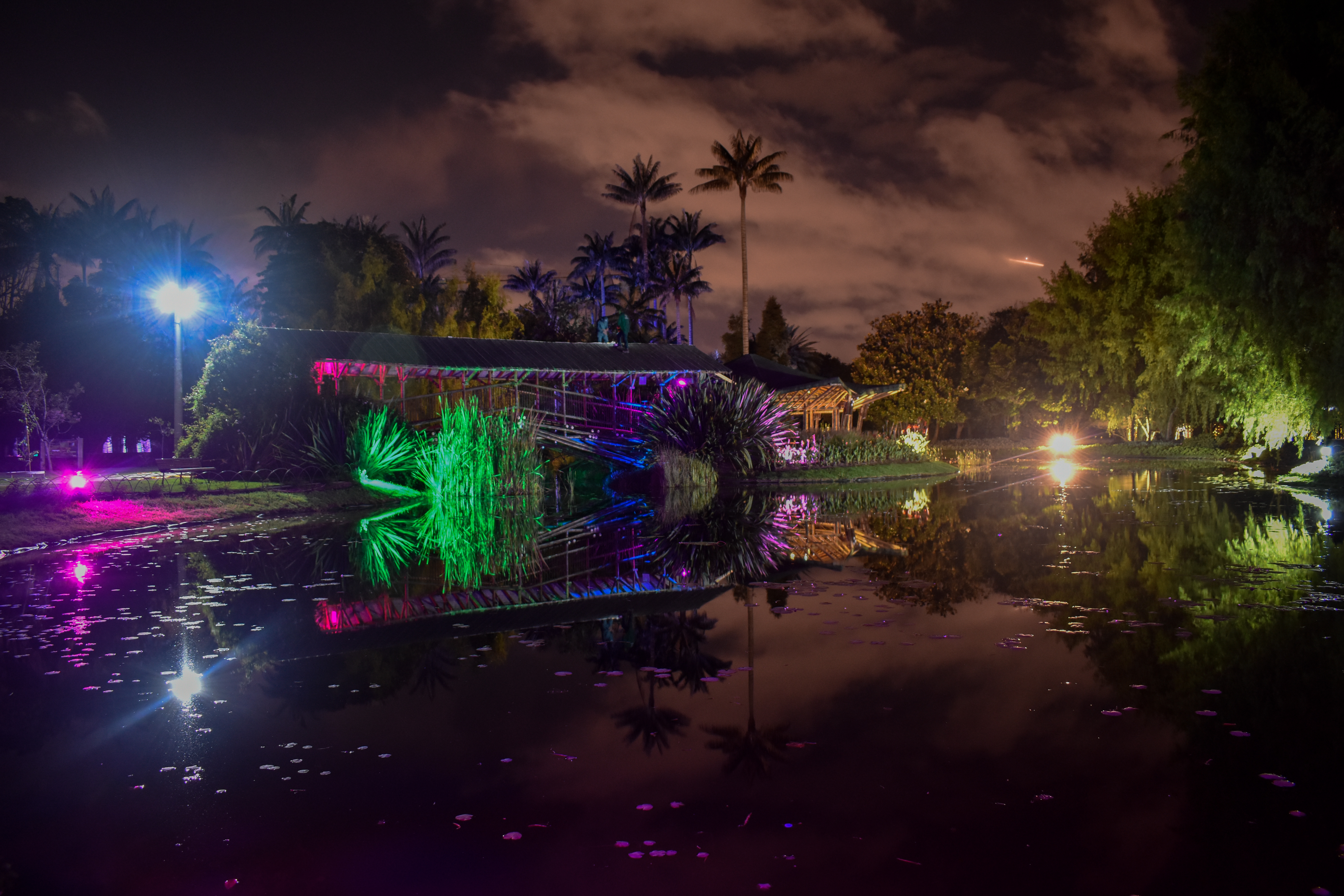 La Navidad nocturna del Jardín Botánico continuará hasta el próximo viernes