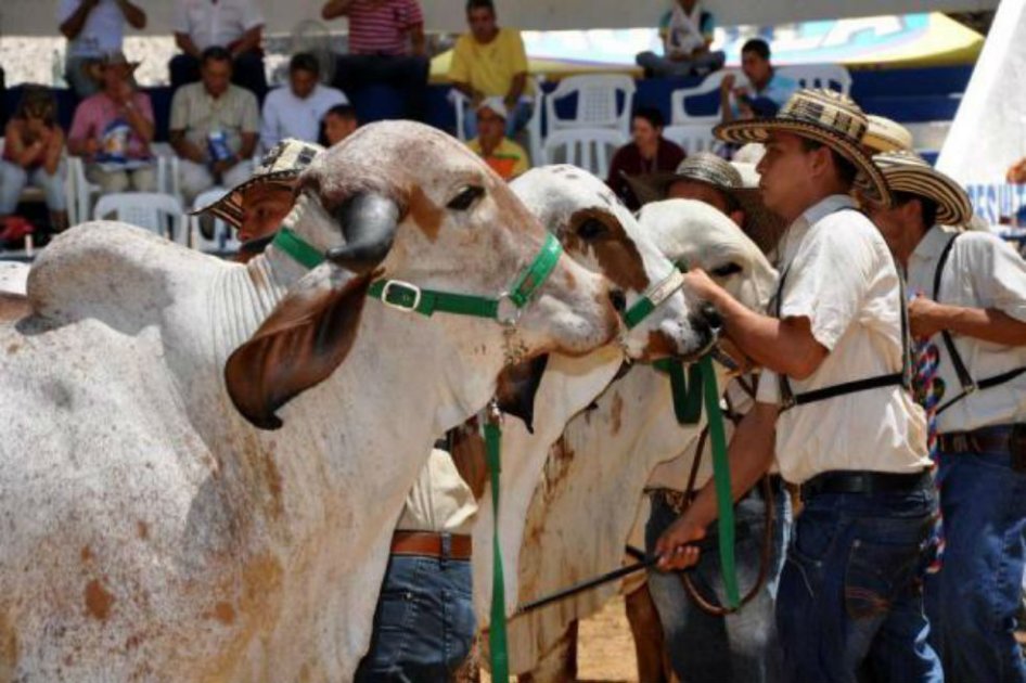 Con crisis por fiebre aftosa y más controles, inauguran Agroexpo 2017