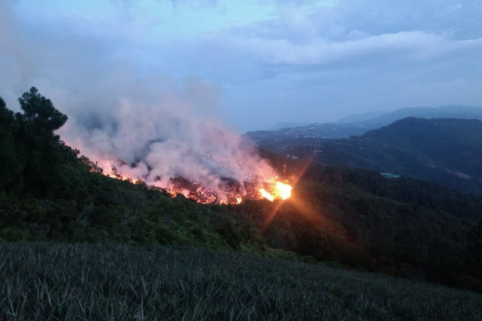 Bomberos trabajan para controlar incendio en zona rural de Lebrija, Santander
