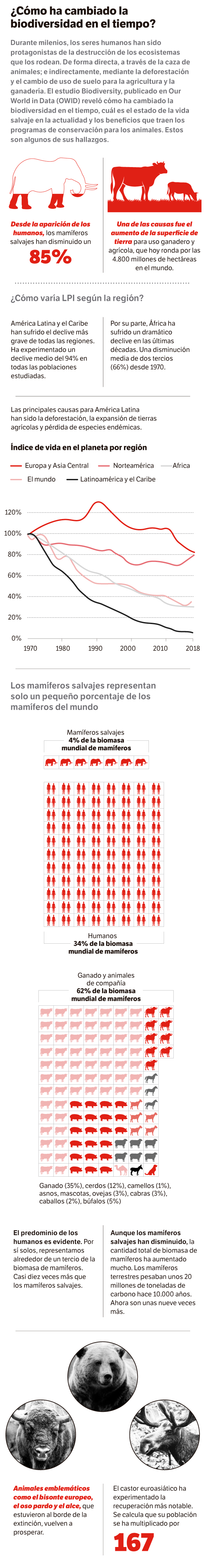 Así ha cambiado la biodiversidad en el tiempo.