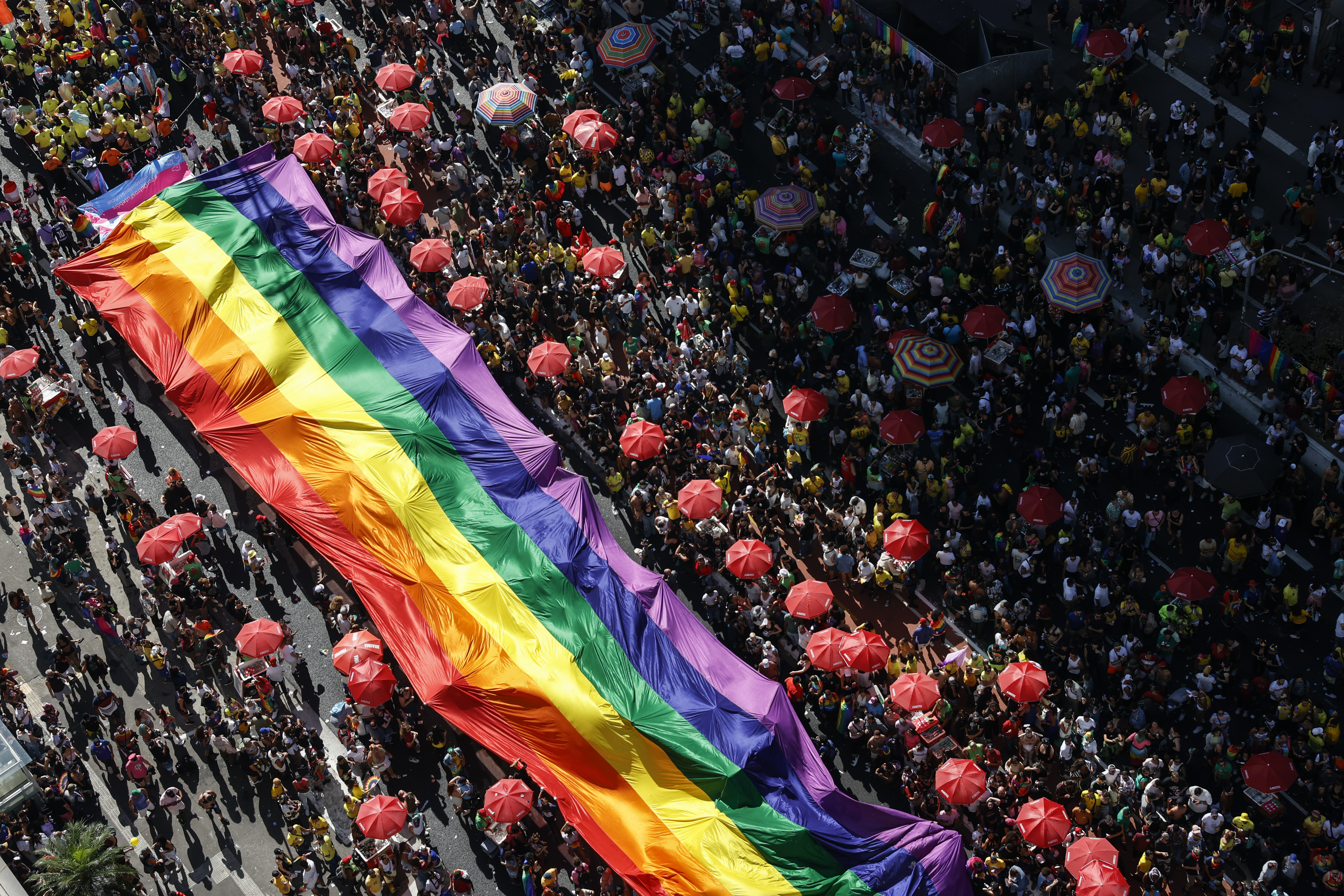Cinco poemas para celebrar el orgullo (Verso a verso)