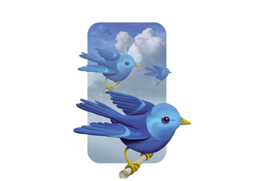 Y usted ¿qué tipo de twittero es?