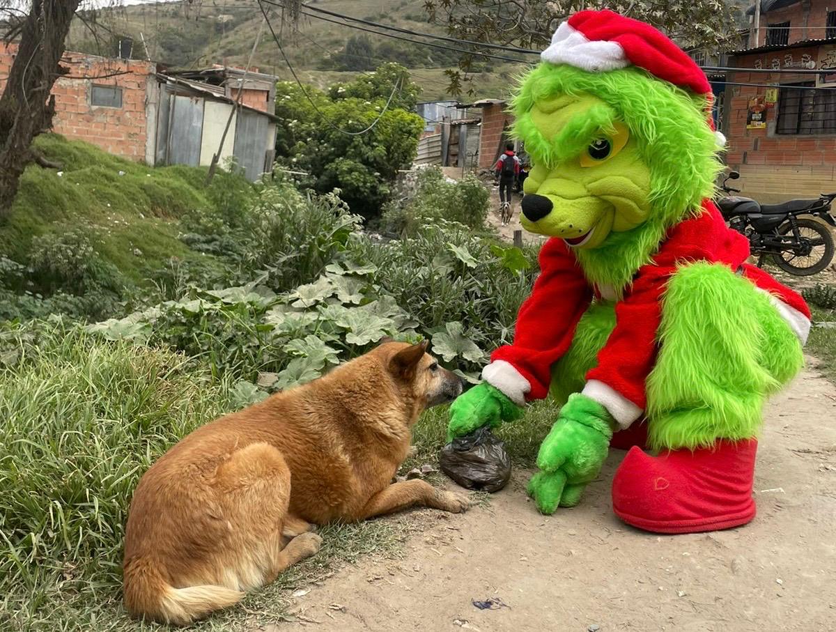 Más de 500 animales recibieron alimento y atención en jornada solidaria en Bogotá y Soacha