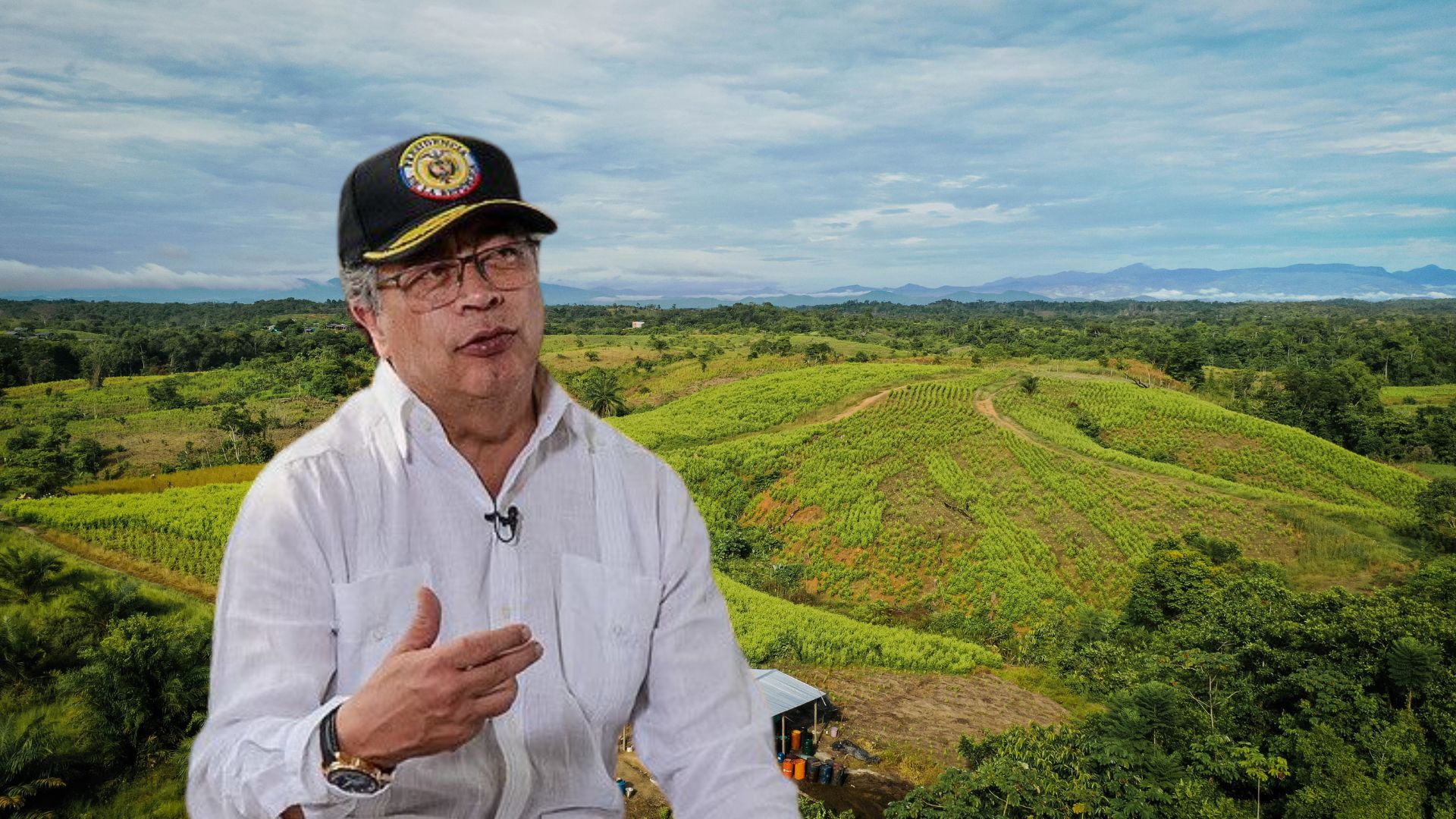 Los cabos sueltos en propuesta de Petro para que el Estado pueda comprar coca